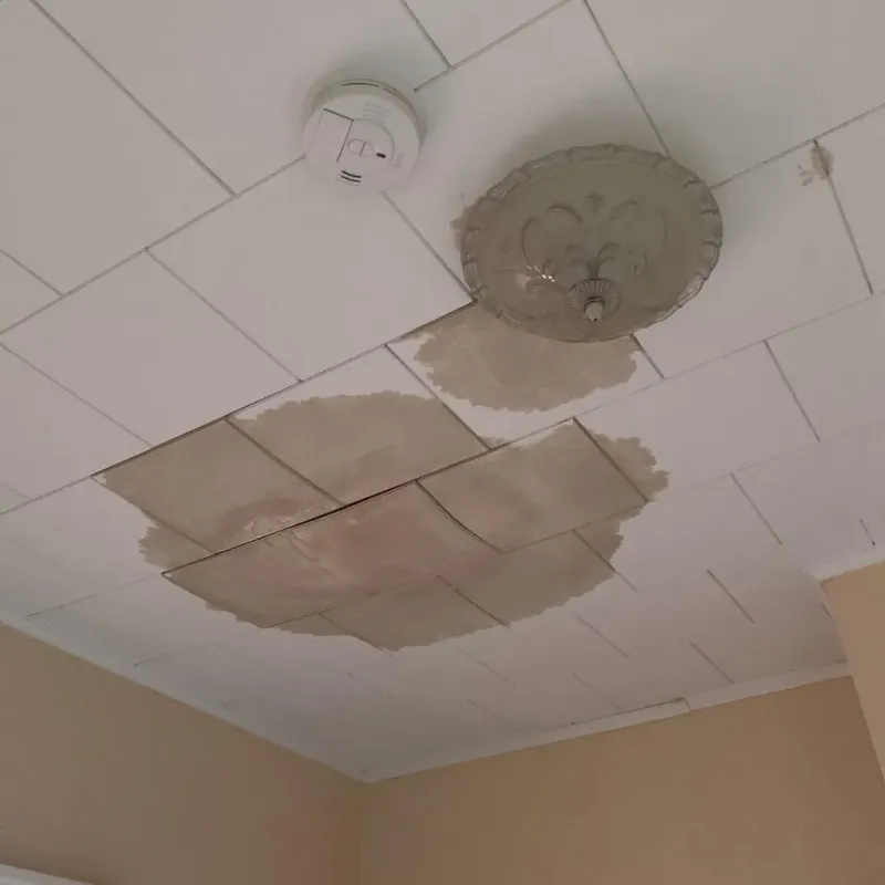 Ceiling Water Damage Repair in McDowell County, WV
