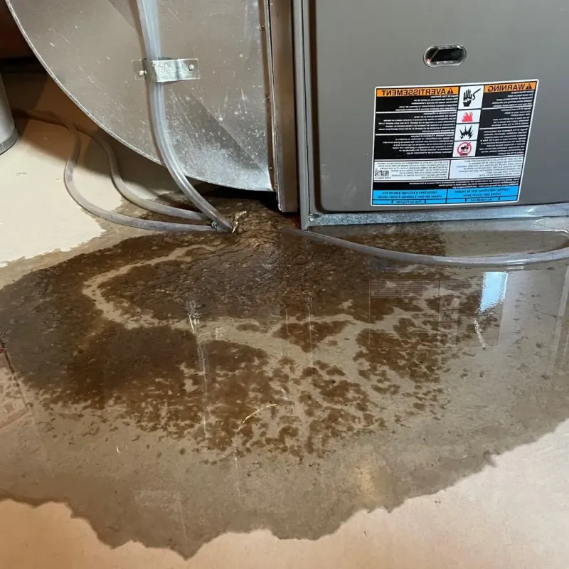 Pipe Burst and Leak Restoration in McDowell County, WV