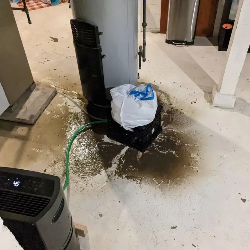 Sewage Backup Cleanup Service in McDowell County, WV
